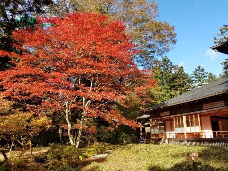 Nhật Bản là một trong những quốc gia có bốn mùa rõ rệt