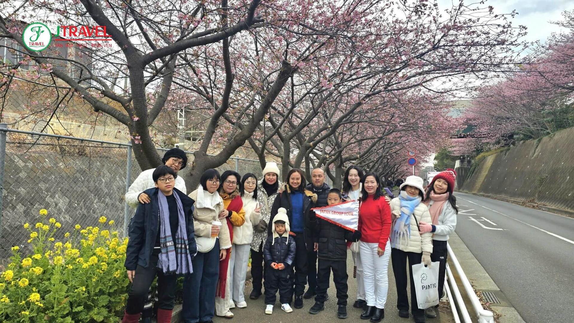 check-in-con-duong-hoa-kawazu-zakura-jtv