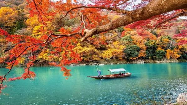 Tour Nhật Bản Mùa Lá Đỏ 6N5Đ: Osaka – Kyoto – Phú Sĩ – Tokyo