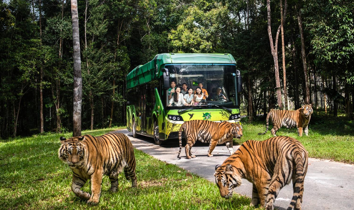 Tour Phú Quốc Thiên Đường Đảo Ngọc: Safari Rạch Vẹm - Vương Quốc Sao Biển 3N2Đ