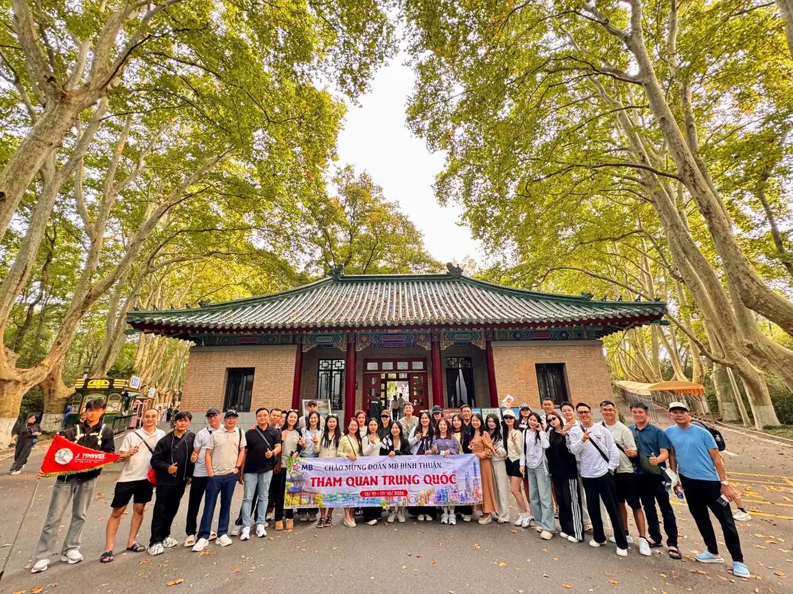 Đoàn khách dưới hàng ngô đồng Nam Kinh - Company trip MB Bank Trung Quốc