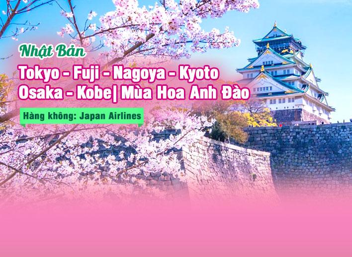 Tour Nhật Bản: Tokyo – Fuji – Nagoya – Kyoto – Osaka – Kobe | Mùa Hoa Anh Đào, bay Japan Airlines