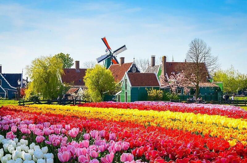 Tour Đức - Thụy Sỹ - Luxembourg - Hà Lan - Pháp | Mùa hoa Tulip