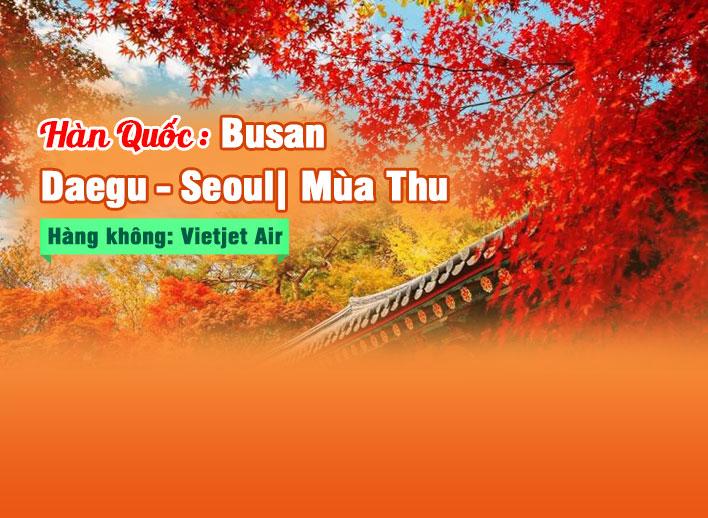 Tour Hàn Quốc: Busan - Daegu -  Seoul | Mùa thu