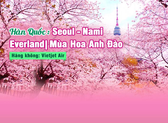 Tour Hàn Quốc: Seoul - Nami - Everland | Mùa hoa anh đào 