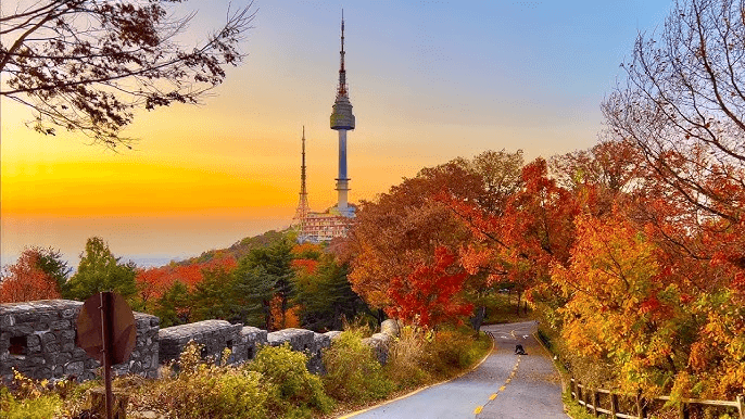 Tour Hàn Quốc Mùa Thu: Busan -  Seoul 6N5Đ