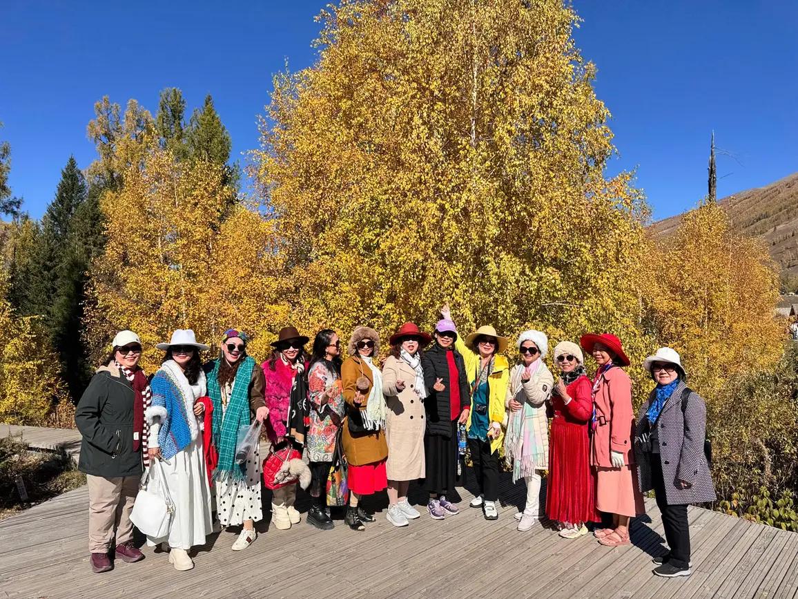 Rừng bạch dương vàng mùa thu Kanas - Tour Bắc Tân Cương mùa thu