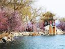 image diemtham quan