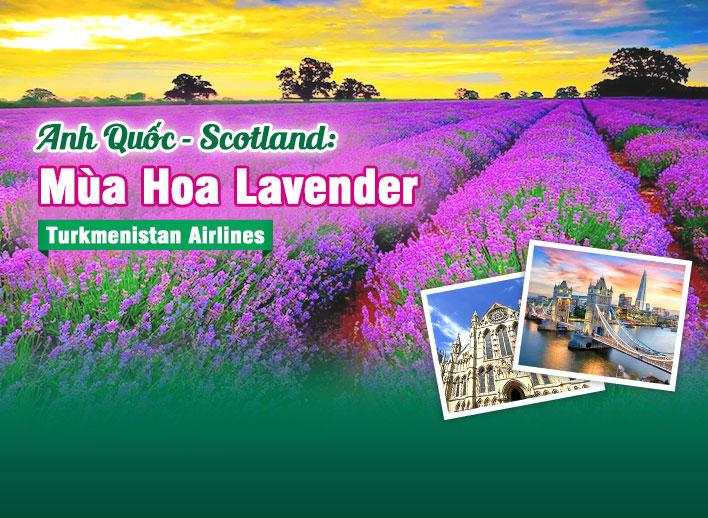 Tour Châu Âu: Anh Quốc - Scotland | Mùa hoa Lavender