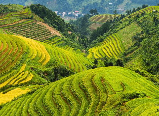 Tour Liên Tuyến Đông Tây Bắc: Hà Giang – Sapa - Fansipan 5N4Đ