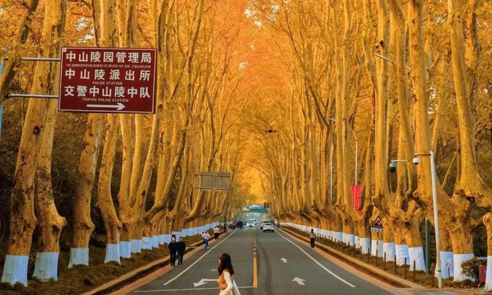 Tour Trung Quốc No Shopping: Hàng Châu – Nam Kinh – Ô Trấn 6N5Đ | Bay Thẳng Hàng Châu