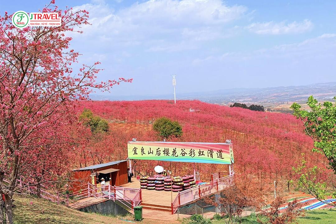 Thẻ