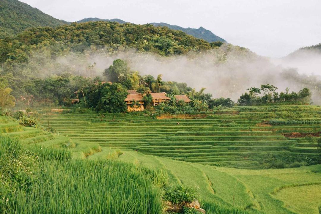 Thẻ