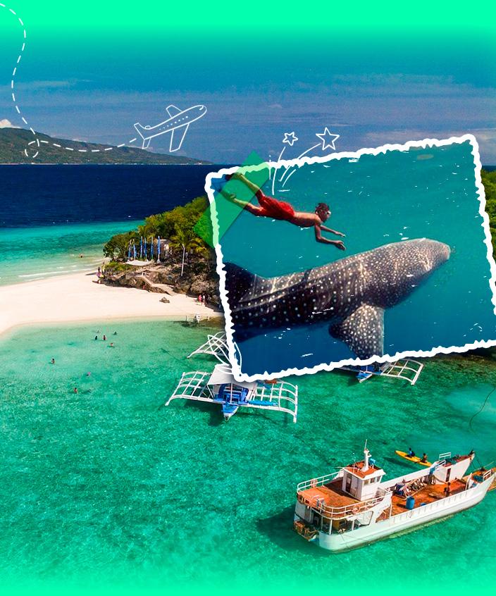 Tour Philippines: Đảo Cebu - Lặn Ngắm Cá Mập Voi Oslob – Bơi Cùng Đàn Cá Mòi Moalboal 4N4Đ | Khởi hành Hà Nội