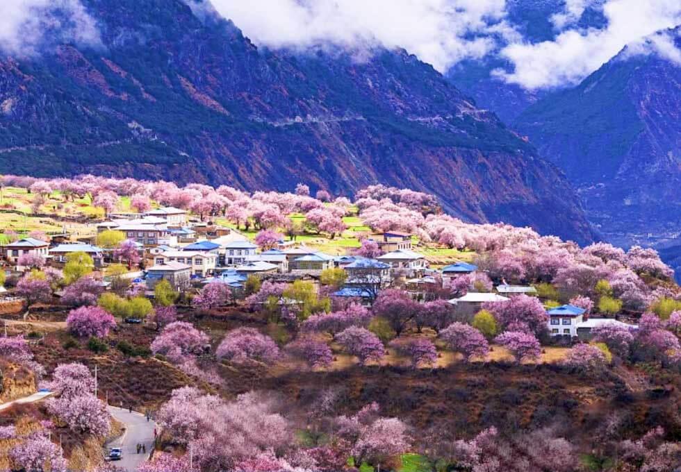 Thẻ